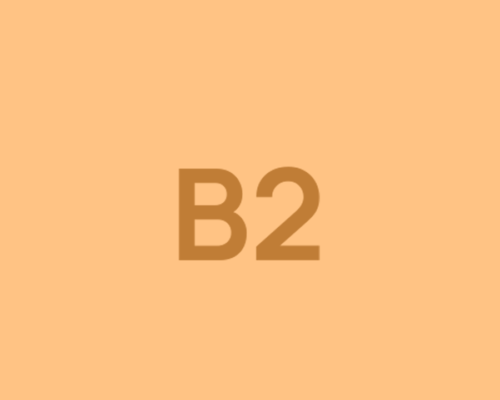 CERTIFICAZIONE LINGUA INGLESE B2. BRITISH INSTITUTES