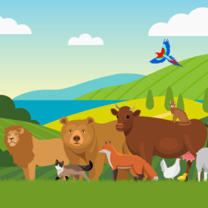 EDUCAZIONE CIVICA E RISPETTO DEGLI ANIMALI. 2ª ed.