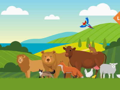 EDUCAZIONE CIVICA E RISPETTO DEGLI ANIMALI. 2ª ed.