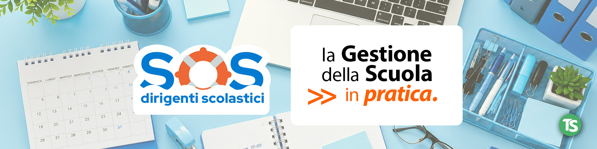Sos Ds. La gestione della scuola in pratica
